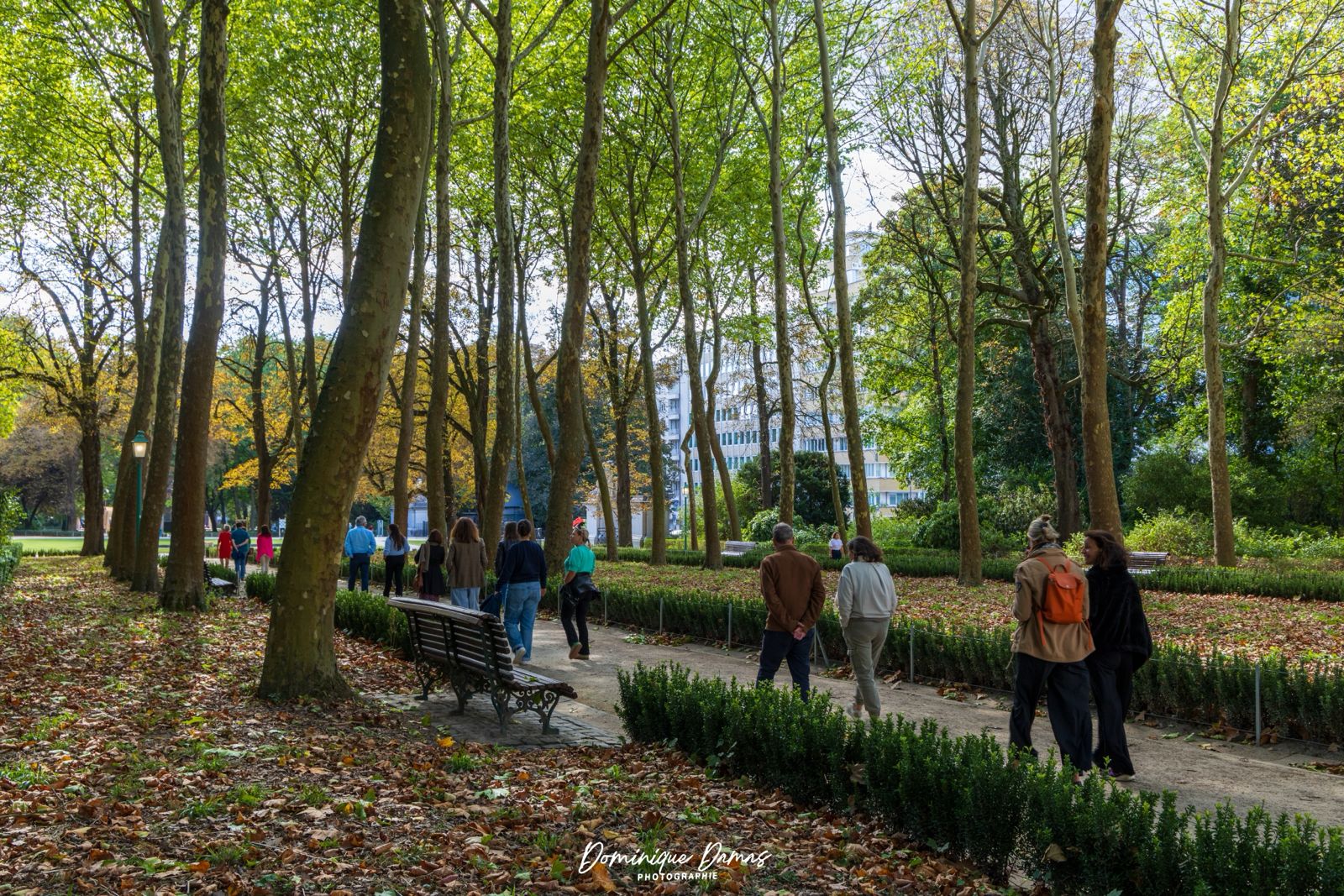 La pratique du coaching régénératif